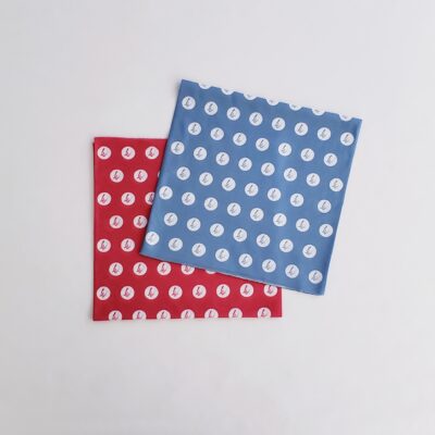 Lady Vet Tubescarf in Tenacious Red and Steel Blue