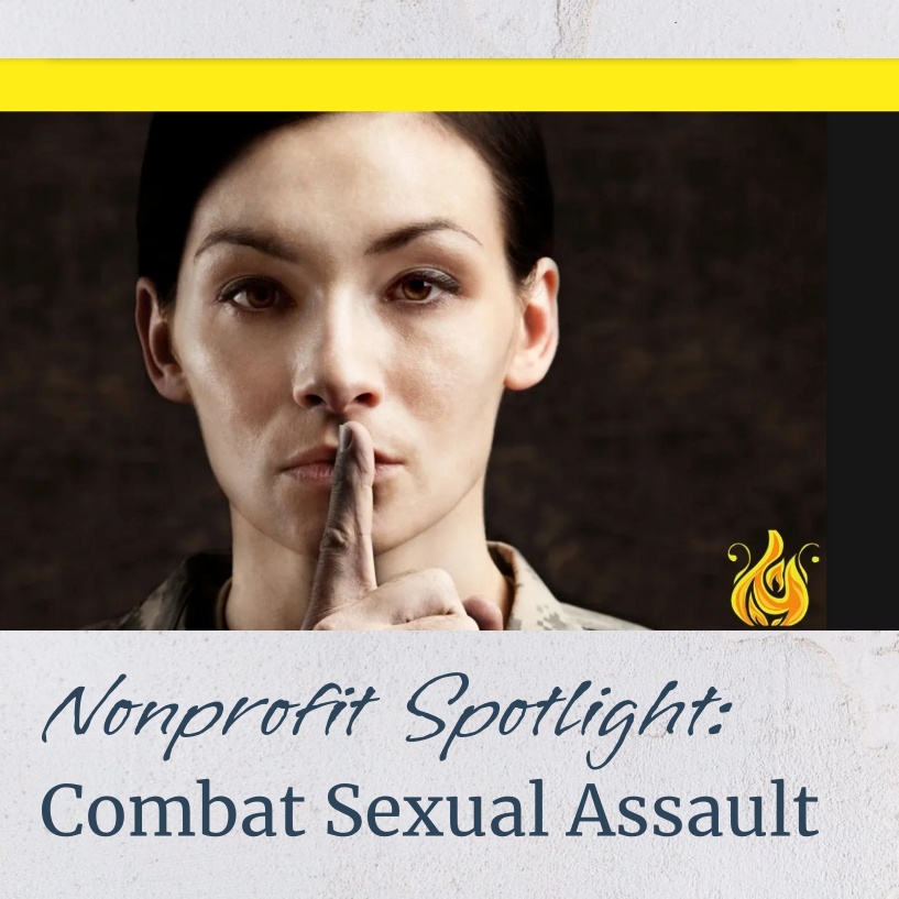 Nonprofit: Combat Sexual Assault